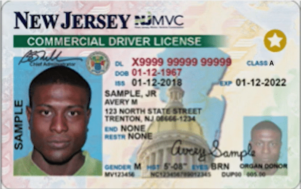 Commercial Driver License Sample