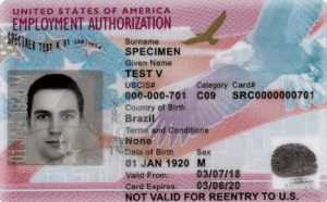 Work authorization documents for CDL